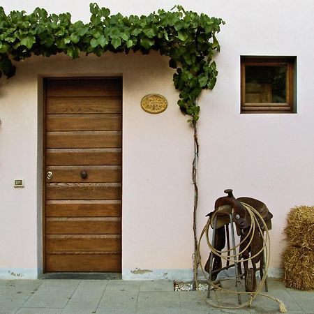 Appartamenti Agriturismo La Canonica Certaldo Exterior foto